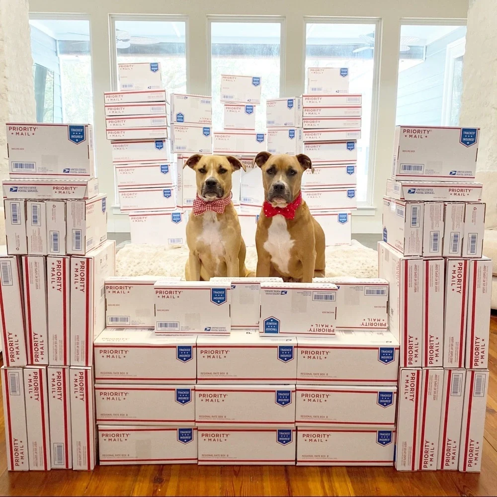 FOLLOW MY CUTE PAWSH ASSISTANTS! 🐶🐶🛍👑🐝 - Picture 4 of 16